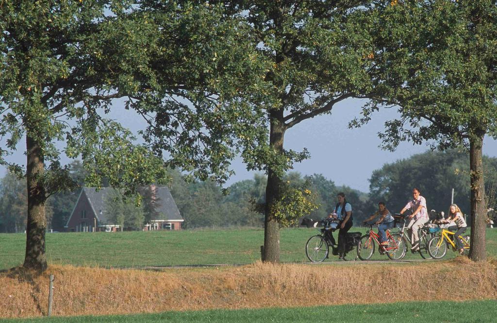 Camping Het Wieskamp Henxel Zewnętrze zdjęcie